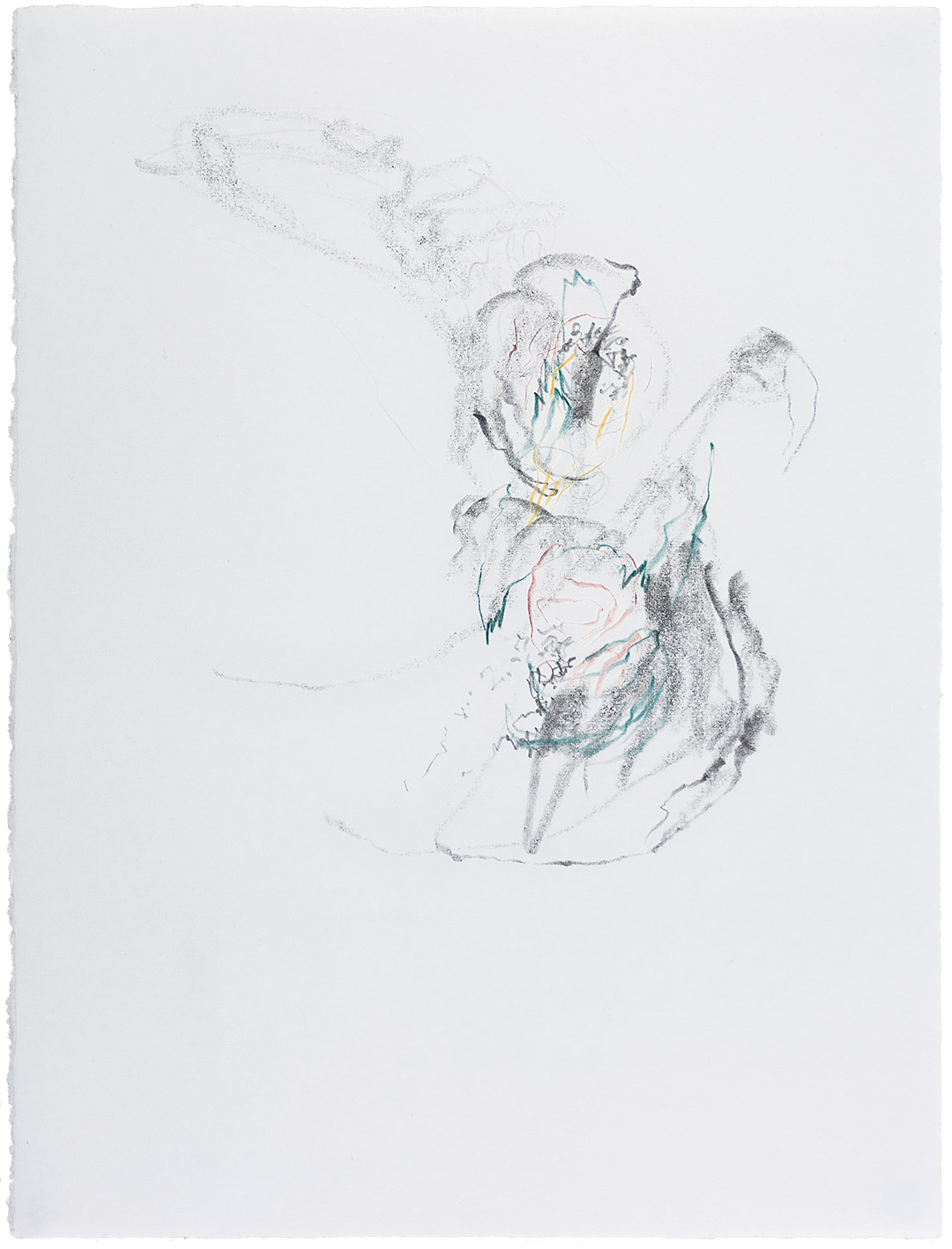 Zeichnung: O.T. (erkrankte Blätter), 2015